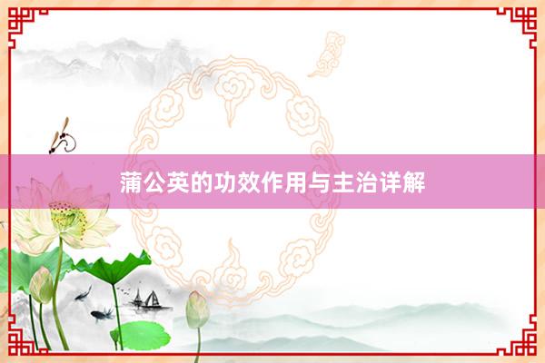 蒲公英的功效作用与主治详解